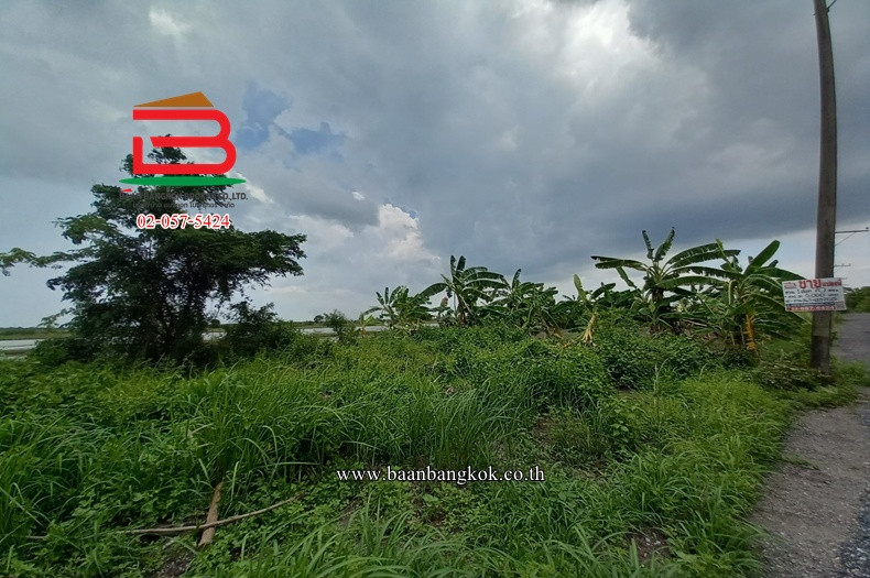 Land has been filled in, Soi Wat Rat Bamrungsak, area 70 sq m., Ongrak-Bang Nam Priao Road. Don Ko Ka Subdistrict Bang Nam Priao District Chachoengsao Province