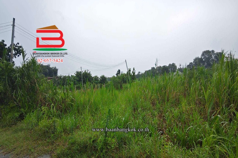 ที่ดินเปล่า เนื้อที่ 218 ตรว. ใกล้วัดไร่แตงทอง ถนนทางหลวงพิเศษหมายเลข 81 สายบางใหญ่-กาญจนบุรี ตำบลทุ่งลูกนก อำเภอกำแพงแสน จังหวัดนครปฐม – รูปที่ 4