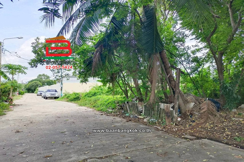 Empty land, area 100 sq m., Soi Tiwanon-Pak Kret 27, Tiwanon-Pak Kret Road, Bang Phut Subdistrict, Pak Kret District, Nonthaburi. – รูปที่ 3