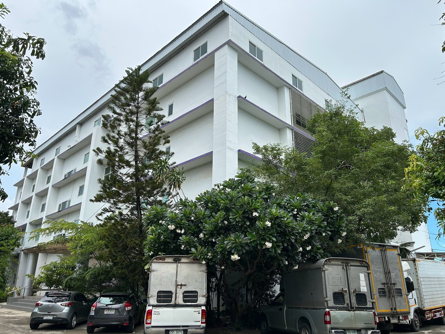For rent: 5-story office, size 5,000 sq m., lots of parking, near MRT Lak Song, The Mall Bang Khae.
