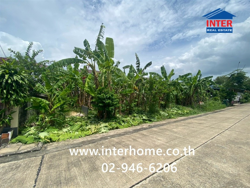 ที่ดินเปล่า 52 ตร.ว. หมู่บ้านเพชรชมพู2 ใกล้โรงเรียนสารสาสน์วิเทศรังสิต ถนนรังสิต-นครนายก ถนนลำลูกกา ธัญบุรี ปทุมธานี – รูปที่ 2