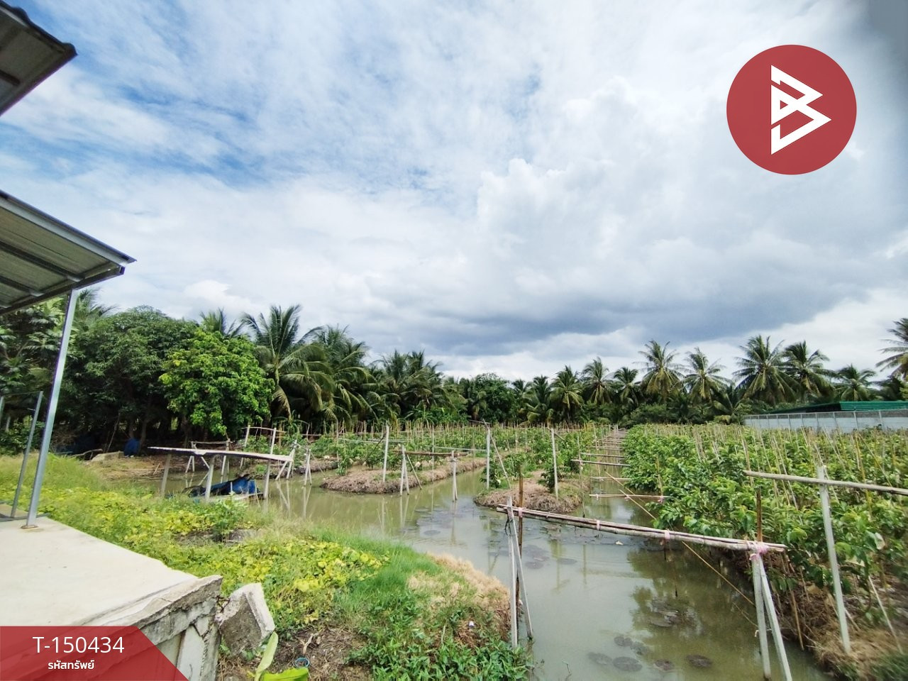 ขายที่ดิน เนื้อที่ 3 งาน 45 ตร.วา บ้านแพ้ว สมุทรสาคร – รูปที่ 4