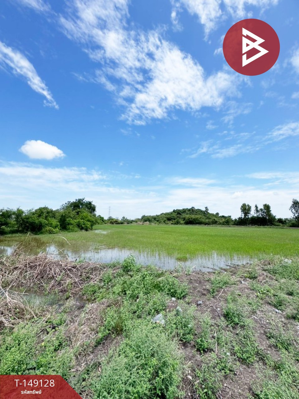 ขายที่ดิน เนื้อที่ 23 ไร่ 1 งาน 92 ตร.วา ต.บางพึ่ง อ.บ้านหมี่ จ.ลพบุรี ขายที่ดิน เนื้อที่ 23 ไร่ 1 งาน 92 ตร.วา ต.บางพึ่ง อ.บ้านหมี่ จ.ลพบุรี