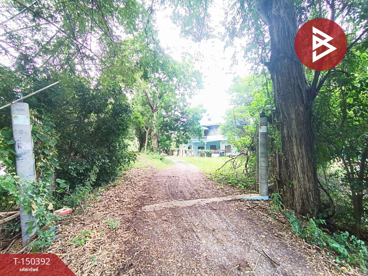Land for sale with buildings, area 11 rai 2 ngan 12 sq m, Pho Thong, Ang Thong. – รูปที่ 2