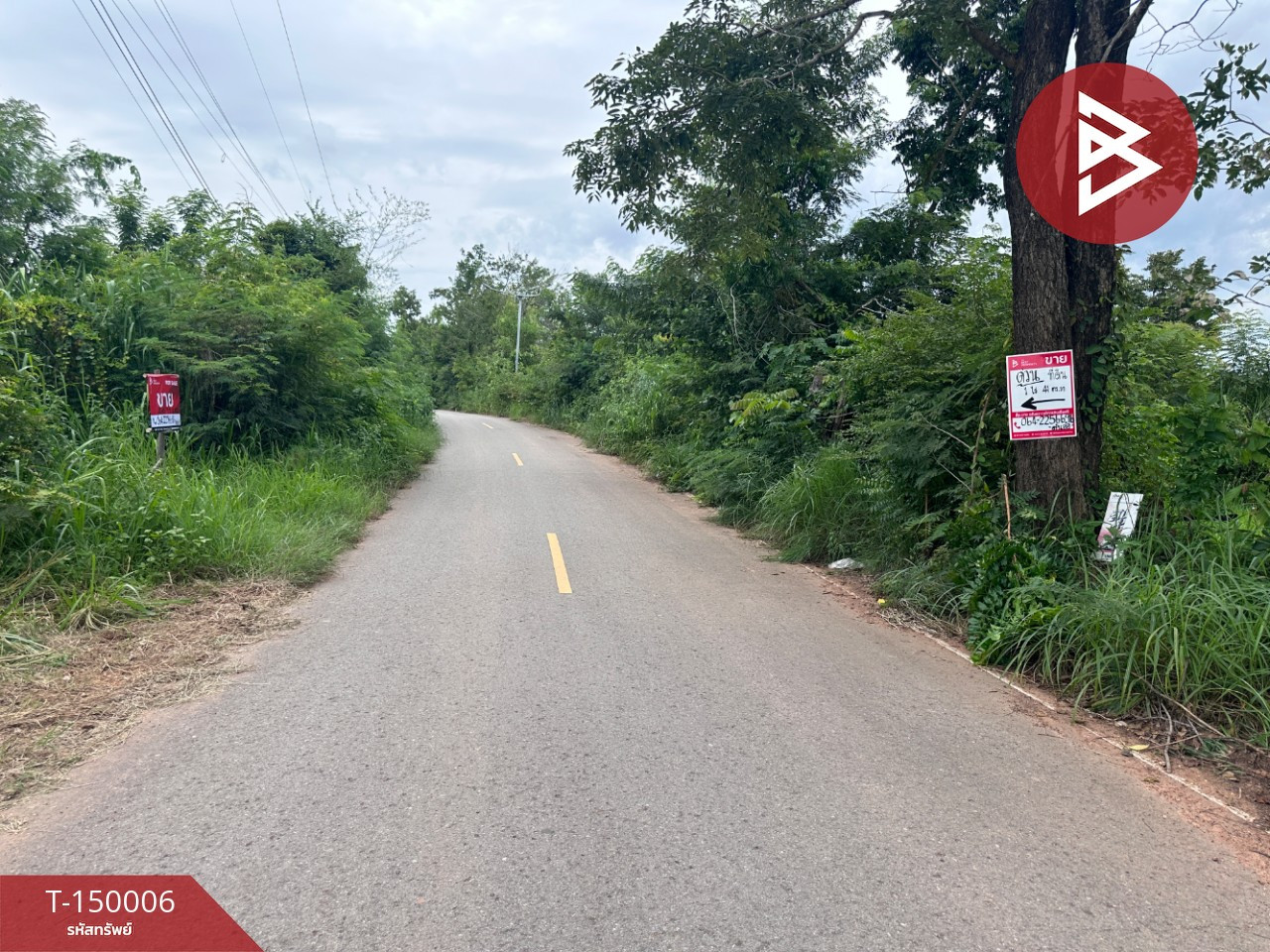 ขายด่วนที่ดิน เนื้อที่ 1 ไร่ 41 ตร.วา โนนสัง ชัยภูมิ – รูปที่ 2