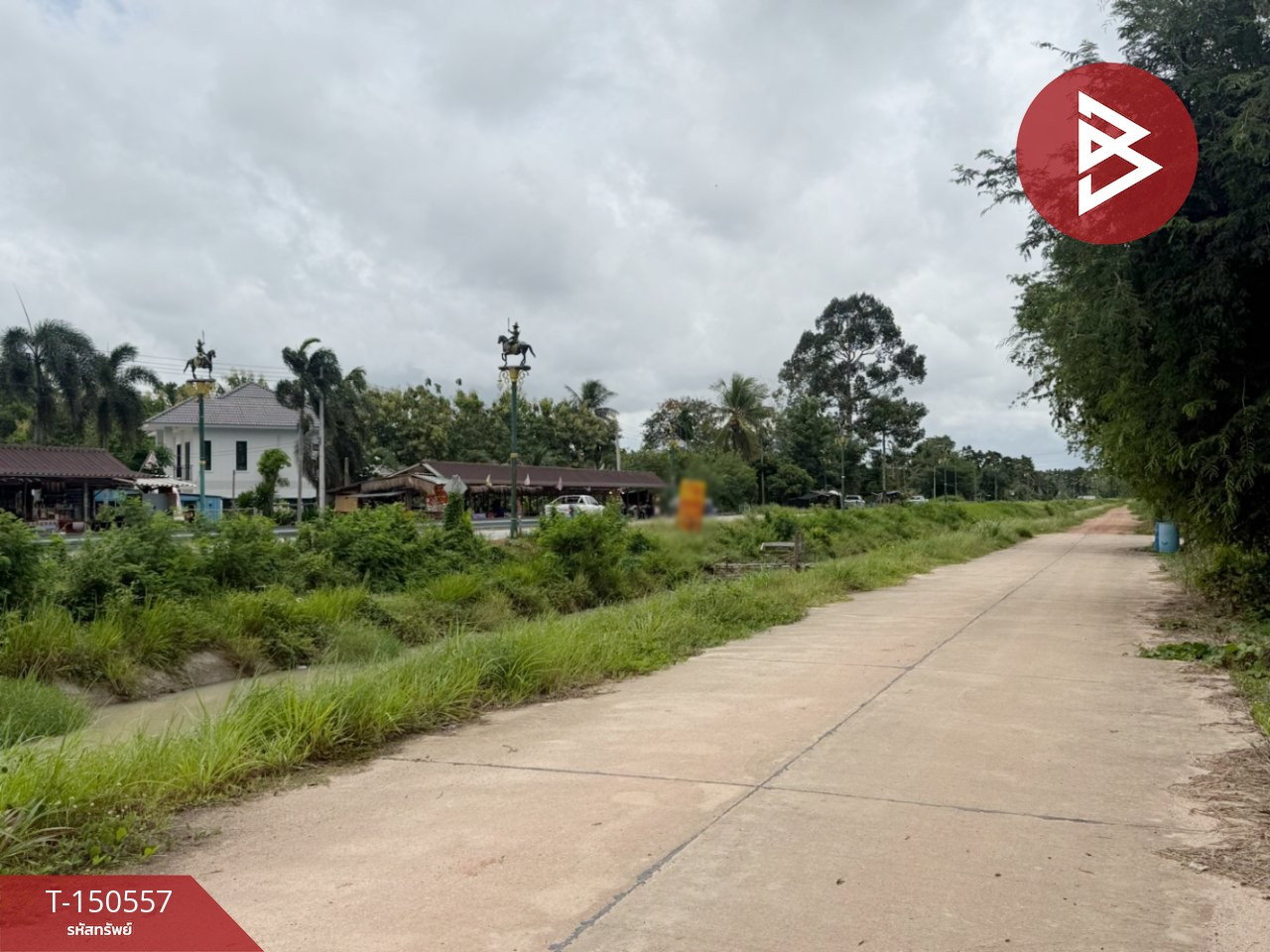 ขายที่ดินถมแล้ว เนื้อที่ 2 ไร่ บ้านค่าย ระยอง ทำเลดีติดคลอง – รูปที่ 3