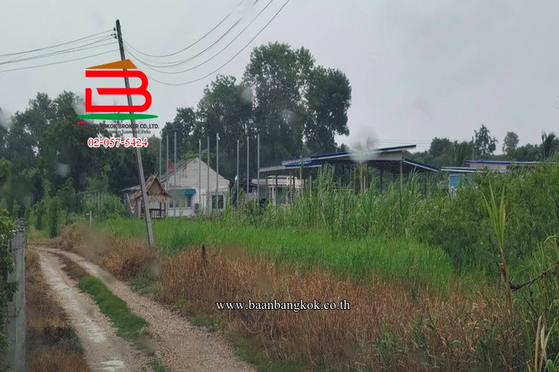 Empty land, area 1-0-54.4 rai, near Huai Phak Chi Temple. Special Highway No. 81, Bang Yai-Kanchanaburi Road Thung Luk Nok Subdistrict Kamphaeng Saen District Nakhon Pathom Province – รูปที่ 3