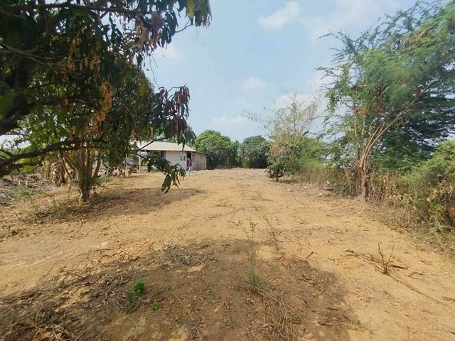 Land for sale, good location, 184 square meters, next to the road, next to the irrigation canal. Nong Tin Nok Subdistrict Ban Pho District Chachoengsao Province – รูปที่ 4