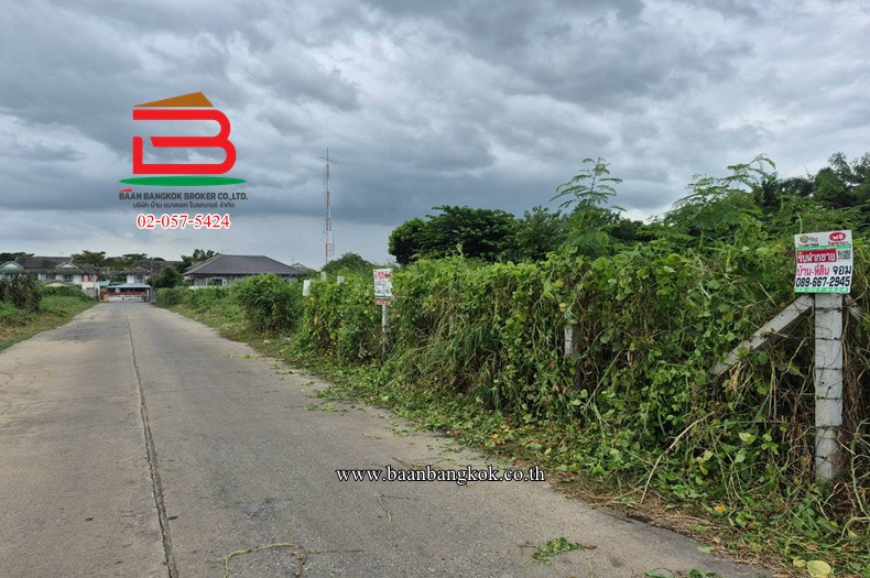 ที่ดิน ซอยเทศบาล 3/3-2 ติดกับ หมู่บ้านพฤกษา 16 เนื้อที่ 70 ตรว. ตำบลบางใหญ่ อำเภอบางใหญ่ จังหวัดนนทบุรี – รูปที่ 3