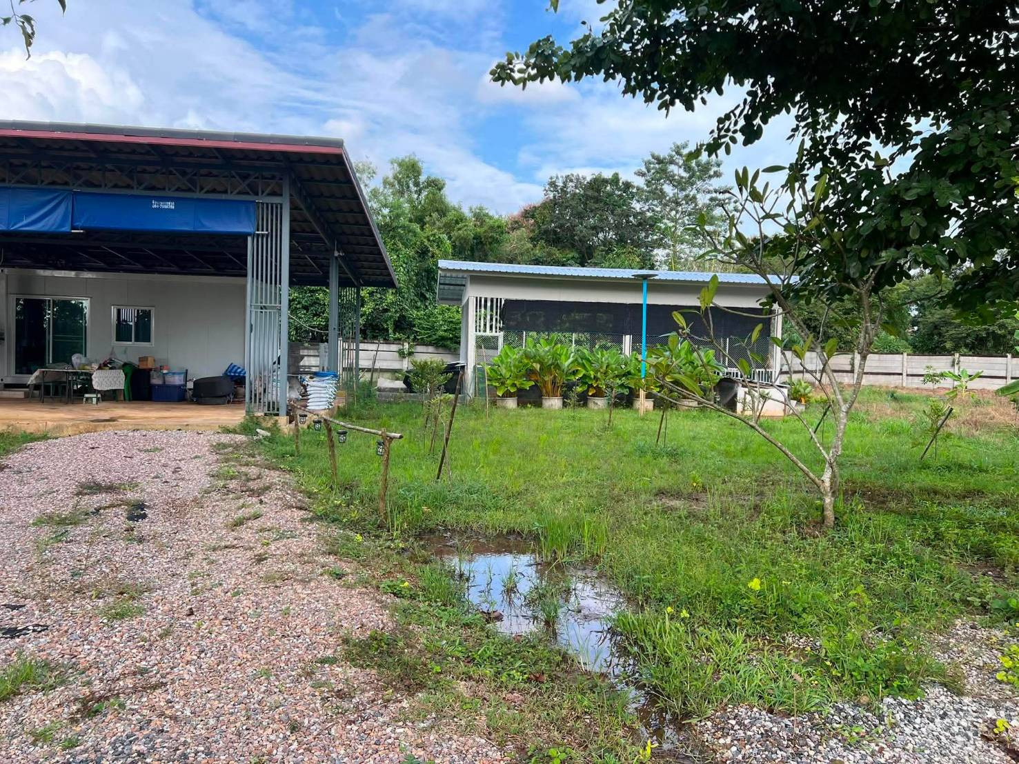 ขายถูกมาก!! ที่ดินการเกษตร 112 ไร่ วิวภูเขา ติดคลอง มีบ่อน้ำ พร้อมระบบน้ำเปิด 2,000 หัว ทำเลดีมาก อ.นาดี ปราจีนบุรี – รูปที่ 4