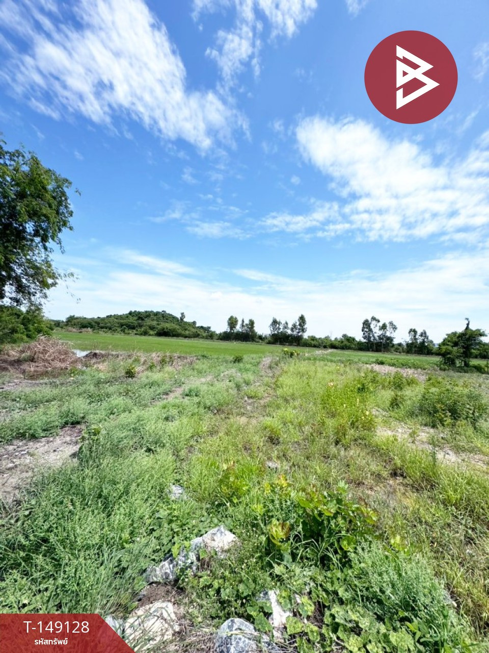 ขายที่ดิน เนื้อที่ 23 ไร่ 1 งาน 92 ตร.วา ต.บางพึ่ง อ.บ้านหมี่ จ.ลพบุรี – รูปที่ 3