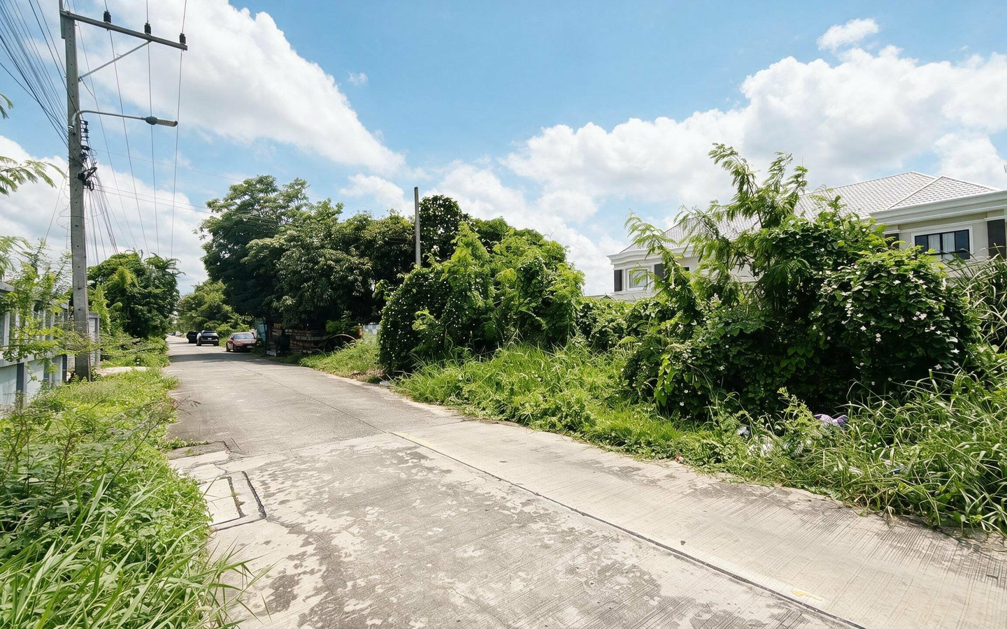 ที่ดินลำลูกกา 43 ซอยกิตติรัตน์ ขนาด 100 ตร.ว. – รูปที่ 3