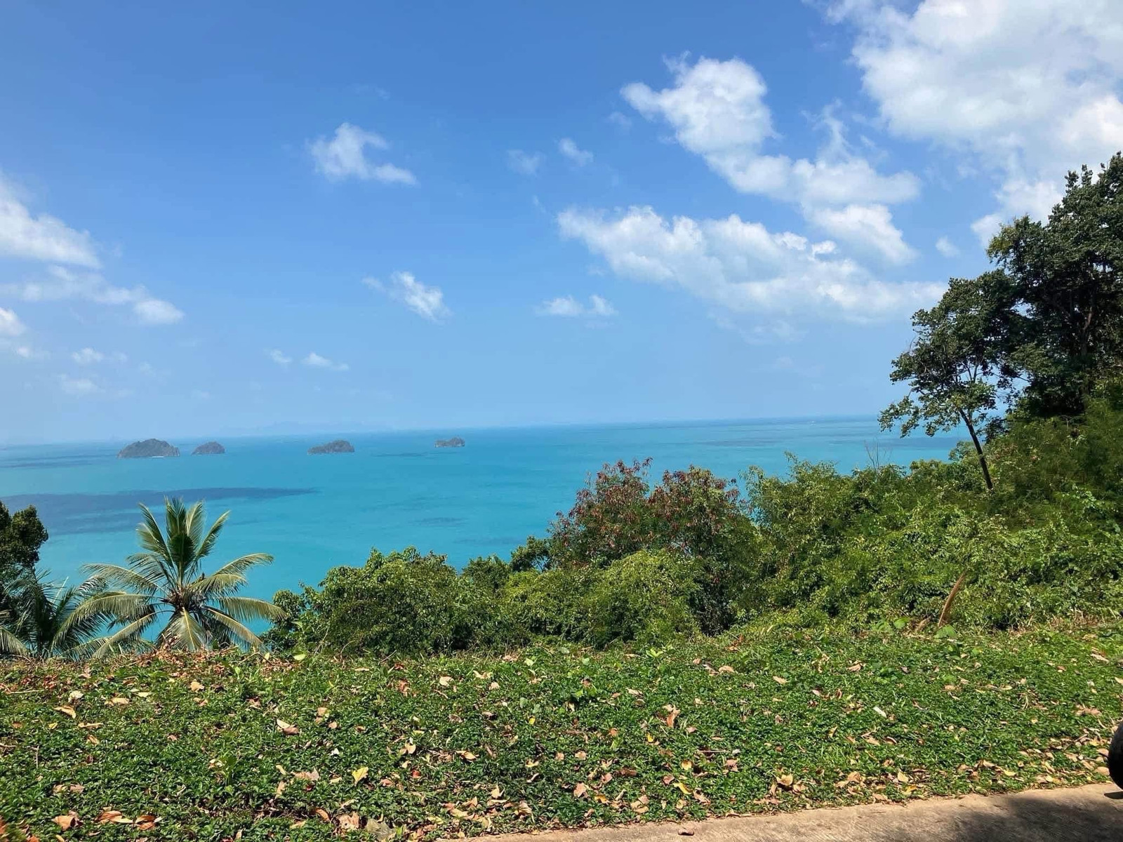 📌ขายที่สวยในสมุยติดโรงแรม Conrad Samui , 10 ไร่   📌 Selling : Land In Samui , Near Conrad Hotel , 10 Rai   ** Hotel / Wellness Center etc **   🔥🔥Selling : 140,000,000 THB🔥🔥  #sellinghouses #superluxuryhousebkk #Ultraluxurycondo  #luxuryhousebangkok  – รูปที่ 3
