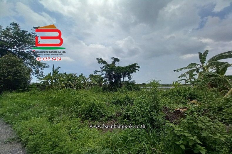 Land has been filled in, Soi Wat Rat Bamrungsak, area 70 sq m., Ongrak-Bang Nam Priao Road. Don Ko Ka Subdistrict Bang Nam Priao District Chachoengsao Province – รูปที่ 3
