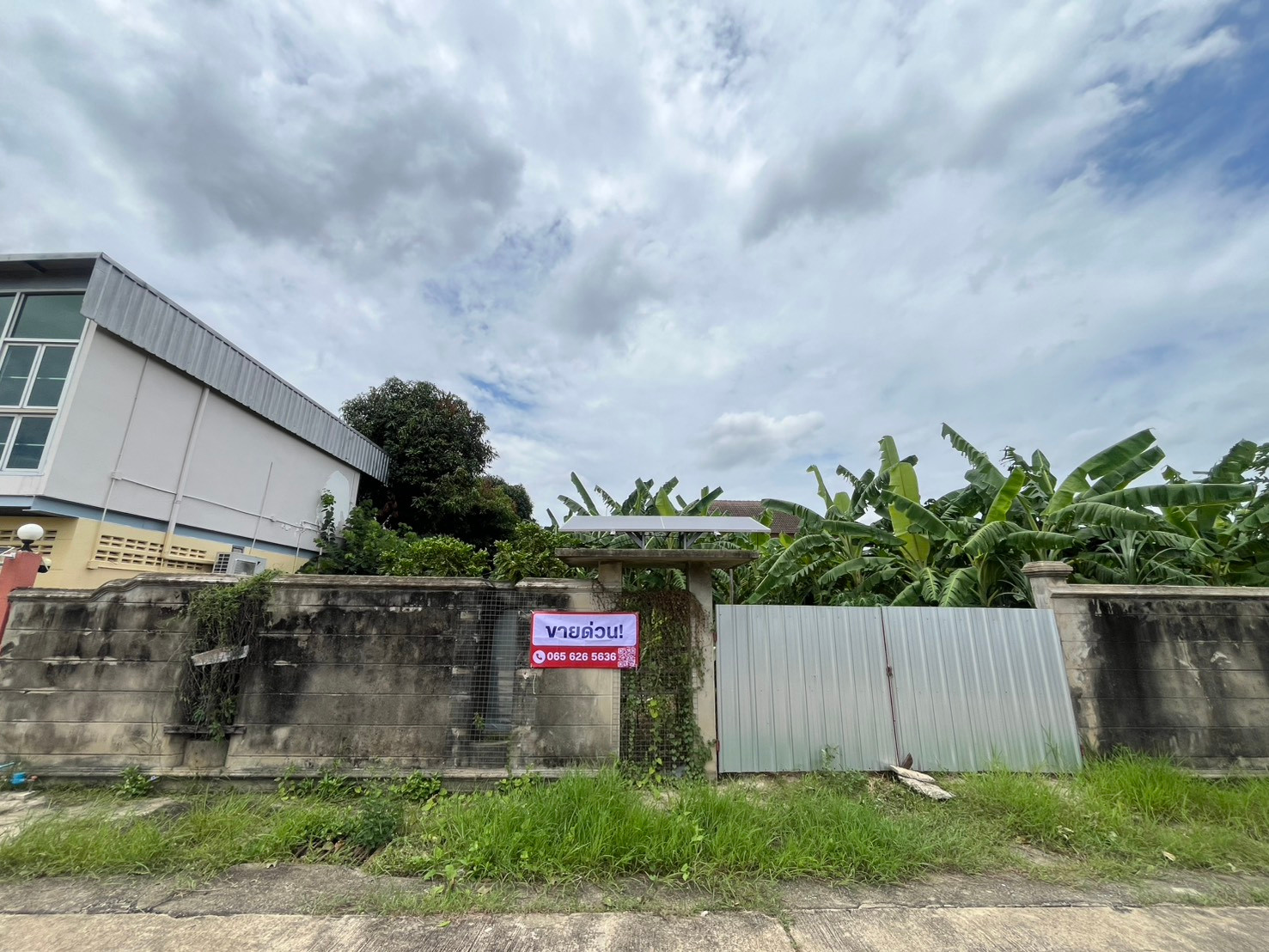 🌿 Land for sale, suitable for building a house, want to live on the Thonburi side, dont miss - empty land, P. Phasuk Village, Soi 7 (corner at the end of the alley) 🔥 Special price only 6.5 million baht (ALL IN) | ! 🔥087-808-3690 🌿 Land for sale, suitable for building a house, want to live on the Thonburi side, dont miss - empty land, P. Phasuk Village, Soi 7 (corner at the end of the alley) 🔥 Special price only 6.5 million baht (ALL IN) | ! 🔥087-808-3690