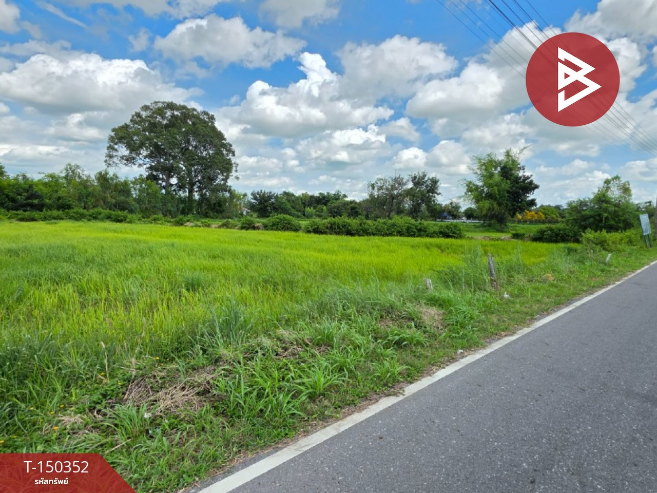 Land for sale, area 4 rai 1 ngan 75 square wa, Ban Lao Yai-Pa Bak, Roi Et. – รูปที่ 4