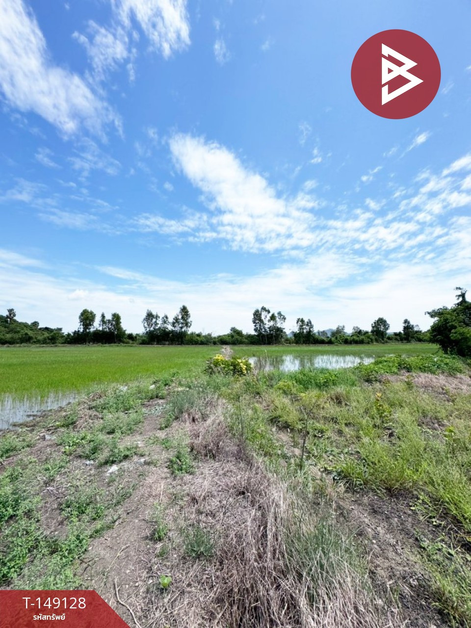 ขายที่ดิน เนื้อที่ 23 ไร่ 1 งาน 92 ตร.วา ต.บางพึ่ง อ.บ้านหมี่ จ.ลพบุรี – รูปที่ 2