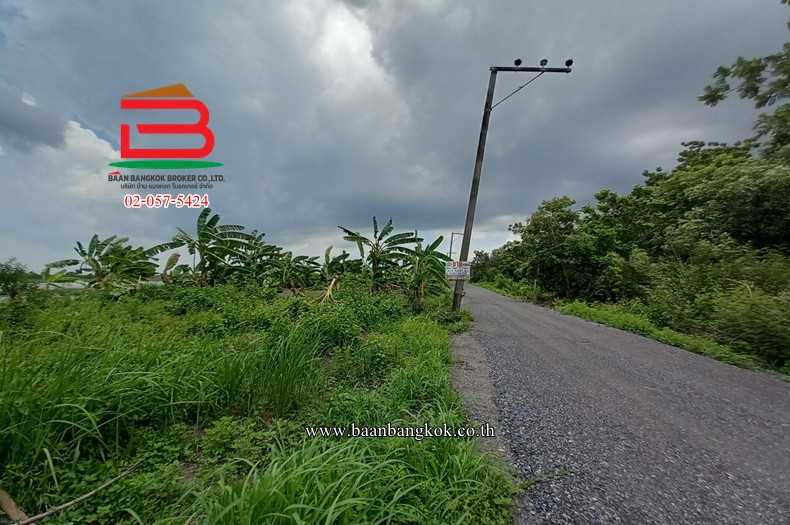 Land has been filled in, Soi Wat Rat Bamrungsak, area 70 sq m., Ongrak-Bang Nam Priao Road. Don Ko Ka Subdistrict Bang Nam Priao District Chachoengsao Province – รูปที่ 4
