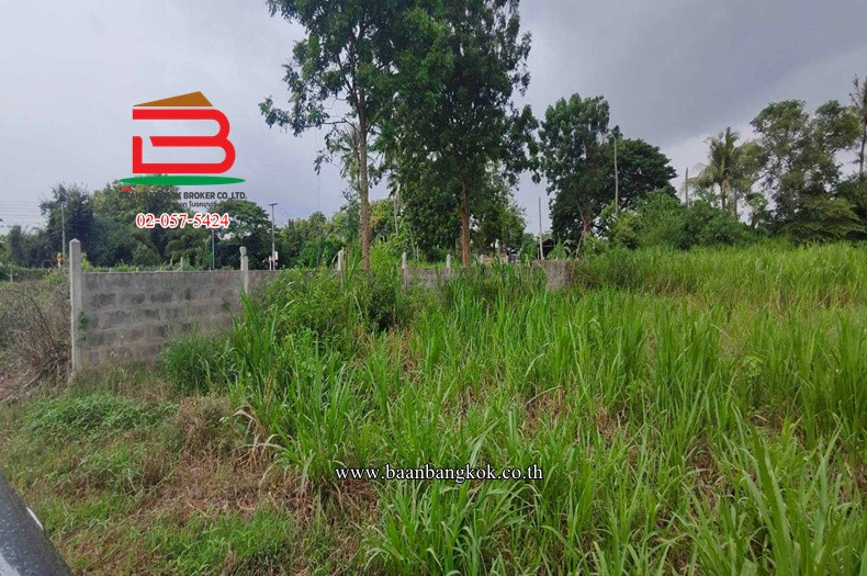 ที่ดินเปล่า เนื้อที่ 218 ตรว. ใกล้วัดไร่แตงทอง ถนนทางหลวงพิเศษหมายเลข 81 สายบางใหญ่-กาญจนบุรี ตำบลทุ่งลูกนก อำเภอกำแพงแสน จังหวัดนครปฐม – รูปที่ 3