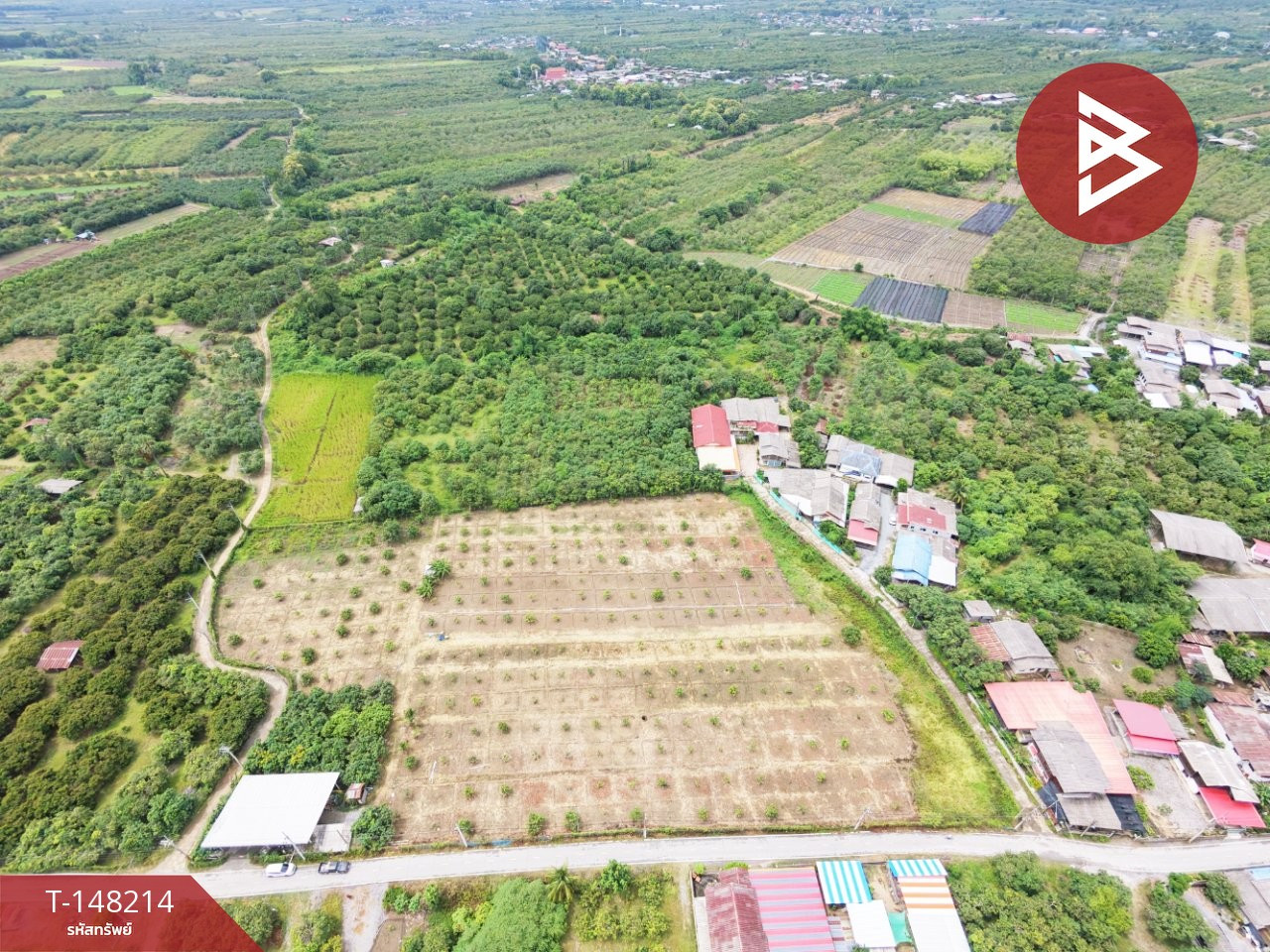 Land for sale, area 8 rai 3 ngan 47 sq m, Ban Hong, Lamphun. – รูปที่ 3