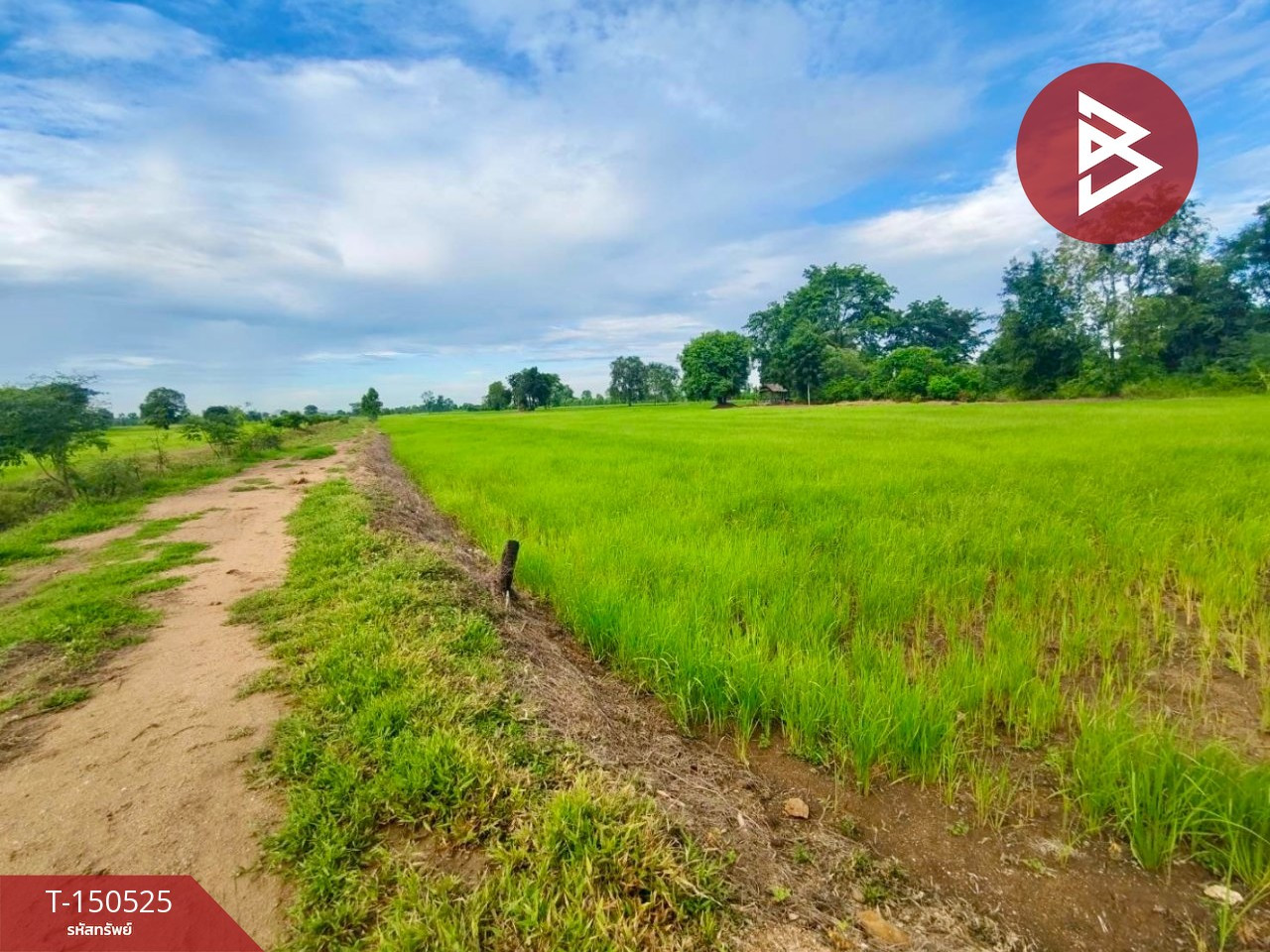 ขายที่ดิน เนื้อที่ 10 ไร่ ท่าตะโก นครสวรรค์ – รูปที่ 4