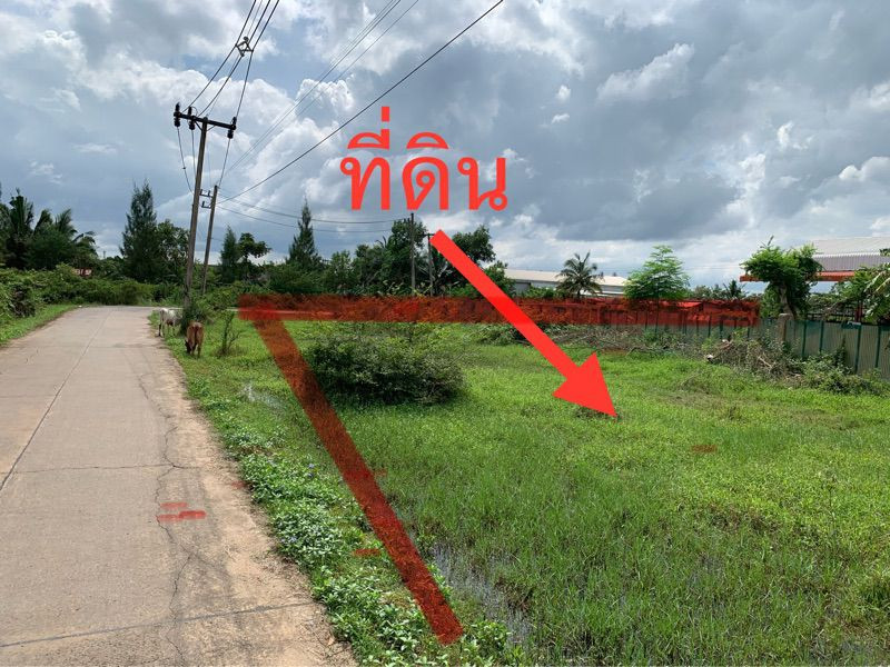 ขายที่ดินเปล่ามีโฉนด ติดถนนทำเลดี ท่าทองใหม่ สุราษฎร์ธานี – รูปที่ 3