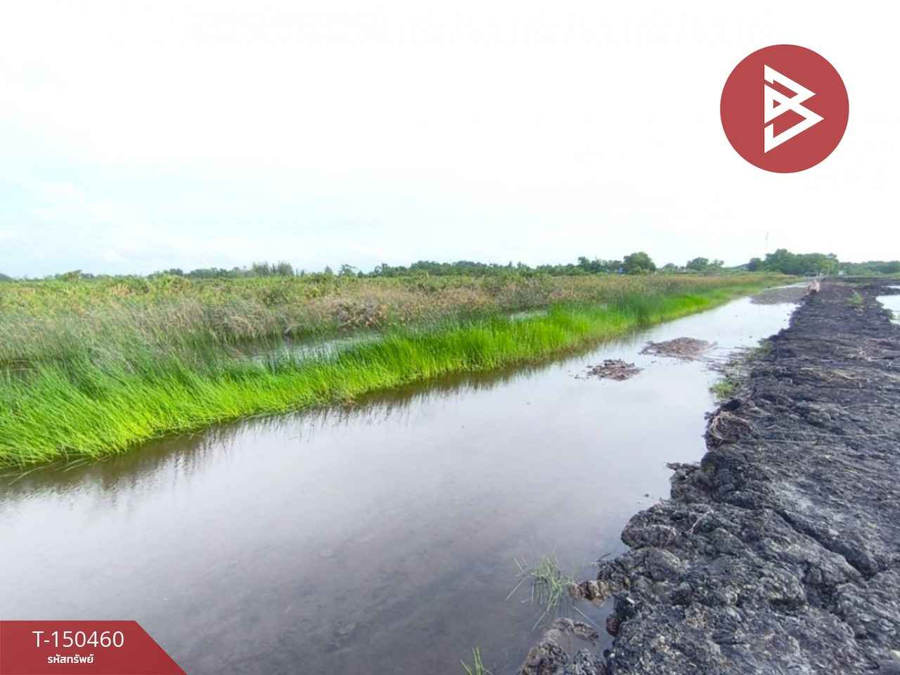 Empty land for sale, area 31 rai 1 ngan 55 square wah, Bang Kacha, Chanthaburi, near Ashram Din Village. – รูปที่ 3