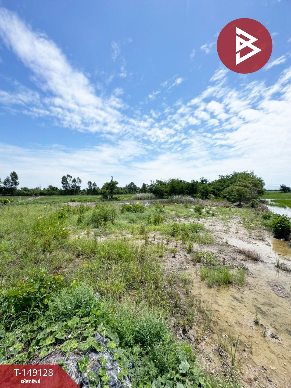 ขายที่ดิน เนื้อที่ 23 ไร่ 1 งาน 92 ตร.วา ต.บางพึ่ง อ.บ้านหมี่ จ.ลพบุรี – รูปที่ 4