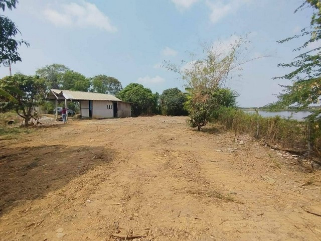 Land for sale, good location, 184 square meters, next to the road, next to the irrigation canal. Nong Tin Nok Subdistrict Ban Pho District Chachoengsao Province – รูปที่ 3