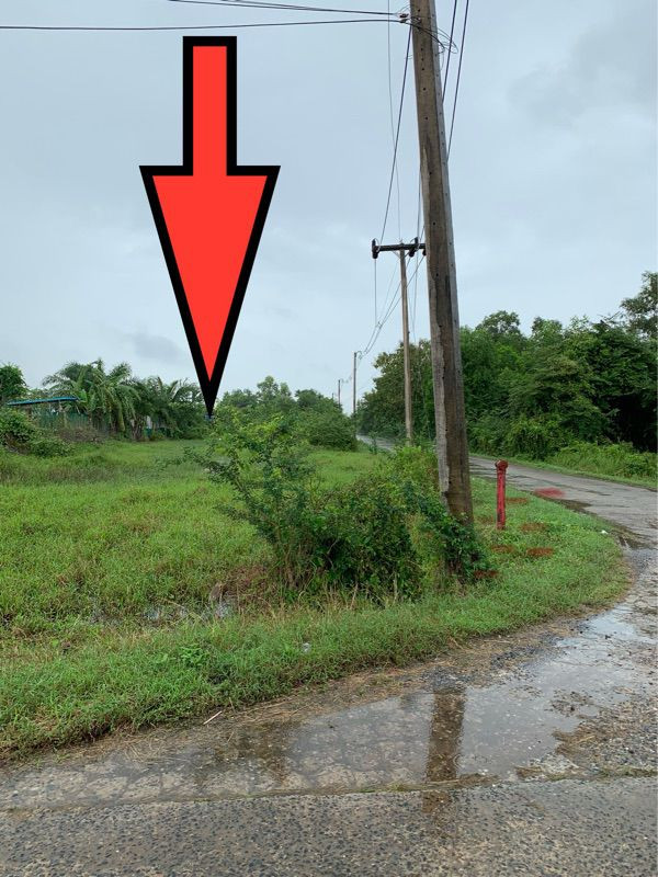 ขายที่ดินเปล่ามีโฉนด ติดถนนทำเลดี ท่าทองใหม่ สุราษฎร์ธานี – รูปที่ 4