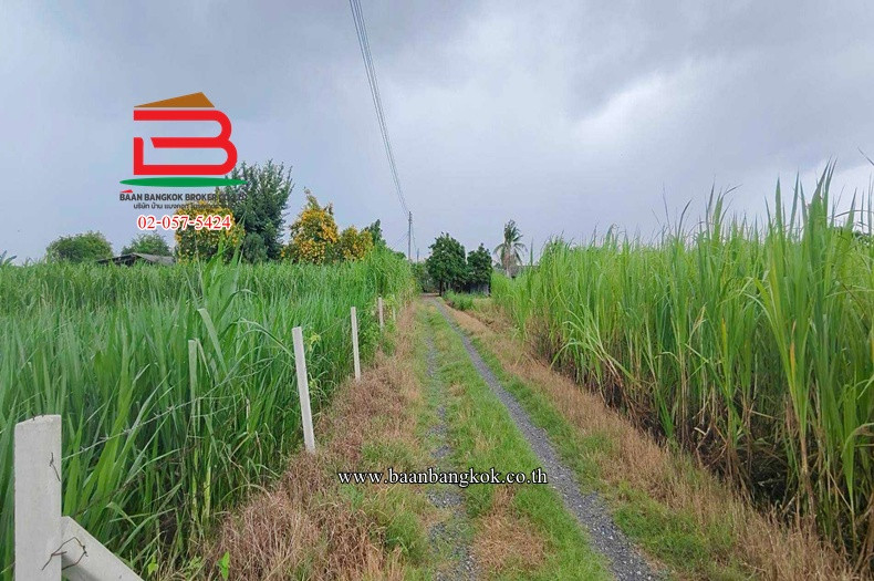 ที่ดินเปล่า เนื้อที่ 218 ตรว. ใกล้วัดไร่แตงทอง ถนนทางหลวงพิเศษหมายเลข 81 สายบางใหญ่-กาญจนบุรี ตำบลทุ่งลูกนก อำเภอกำแพงแสน จังหวัดนครปฐม – รูปที่ 2