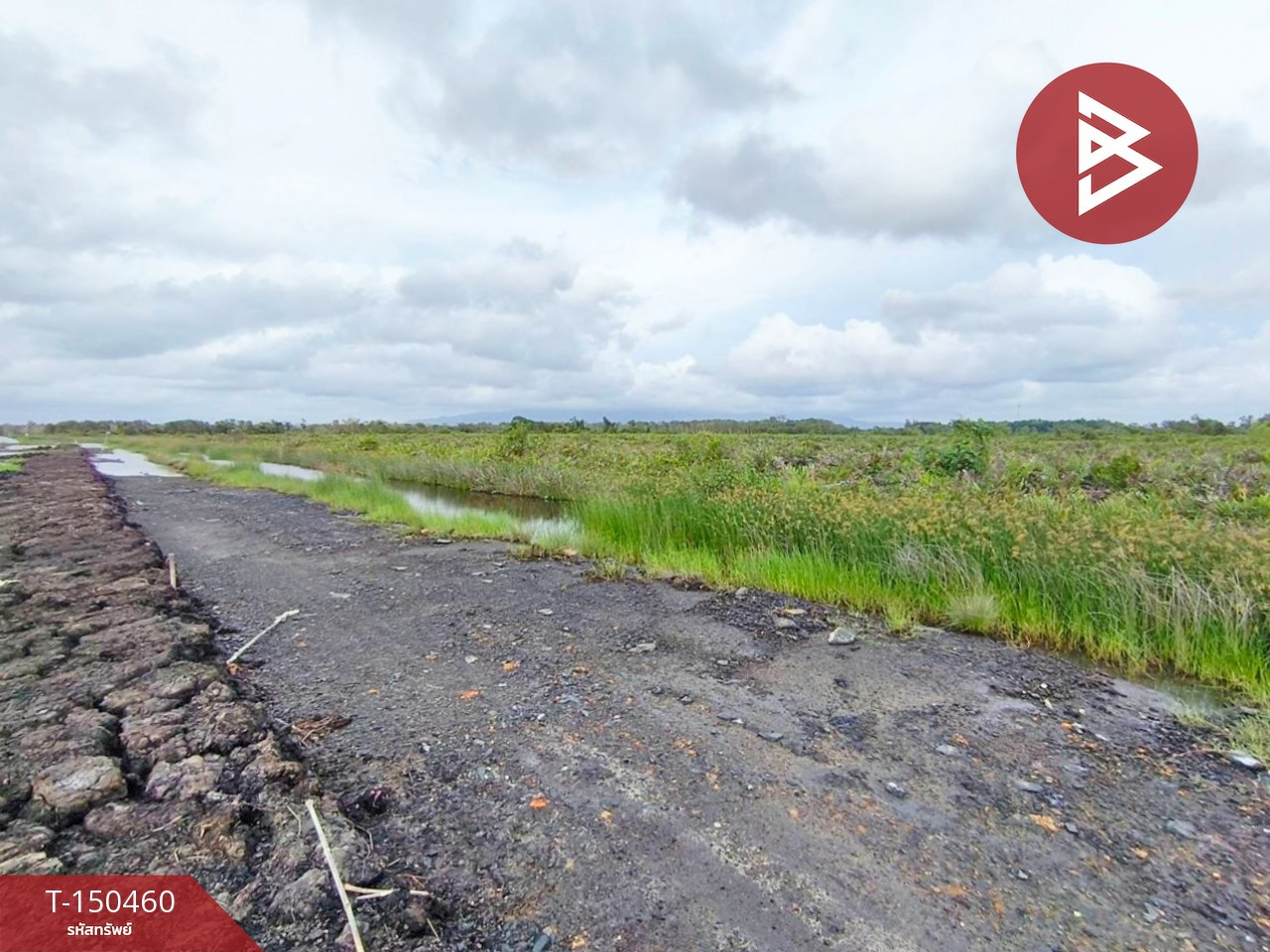 Empty land for sale, area 31 rai 1 ngan 55 square wah, Bang Kacha, Chanthaburi, near Ashram Din Village. – รูปที่ 2