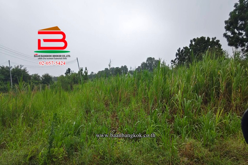 Empty land, area 1-0-54.4 rai, near Huai Phak Chi Temple. Special Highway No. 81, Bang Yai-Kanchanaburi Road Thung Luk Nok Subdistrict Kamphaeng Saen District Nakhon Pathom Province – รูปที่ 2