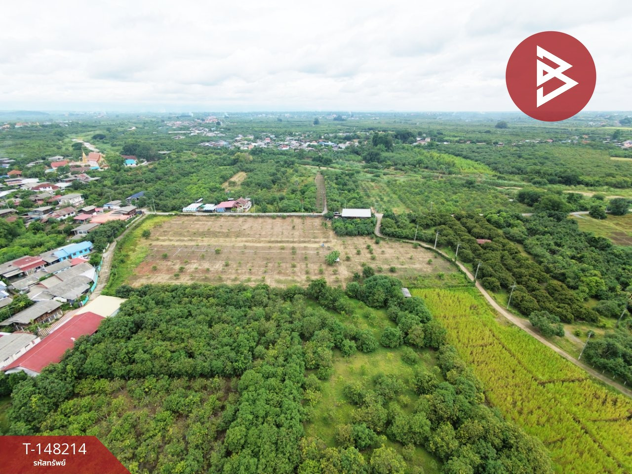 Land for sale, area 8 rai 3 ngan 47 sq m, Ban Hong, Lamphun. – รูปที่ 4