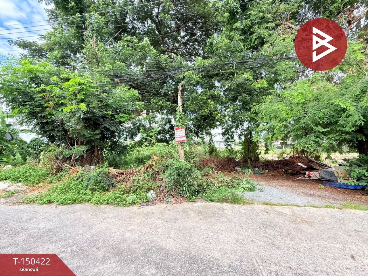 Empty land for sale, area 100 sq m, Somphong Village. Khlong Yong-Salaya Nakhon Pathom Empty land for sale, area 100 sq m, Somphong Village. Khlong Yong-Salaya Nakhon Pathom