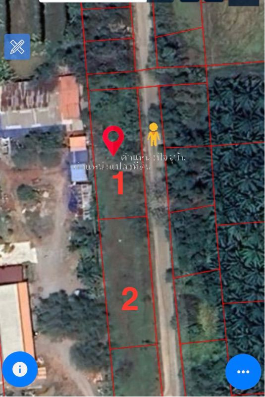 Empty land for sale with title deed, next to the road, good location, Tha Thong Mai, Surat Thani. Empty land for sale with title deed, next to the road, good location, Tha Thong Mai, Surat Thani.