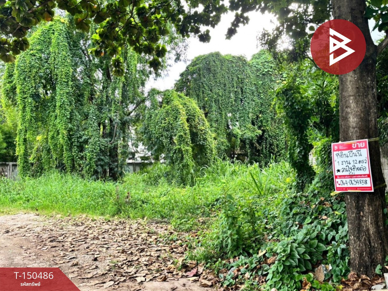 Land for sale, area 112.6 square meters, Chiang Mai, behind Suthep Airport.