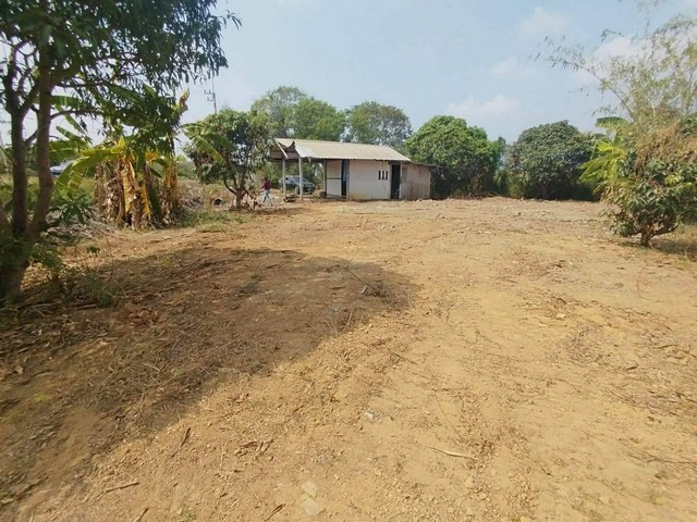 Land for sale, good location, 184 square meters, next to the road, next to the irrigation canal. Nong Tin Nok Subdistrict Ban Pho District Chachoengsao Province – รูปที่ 2