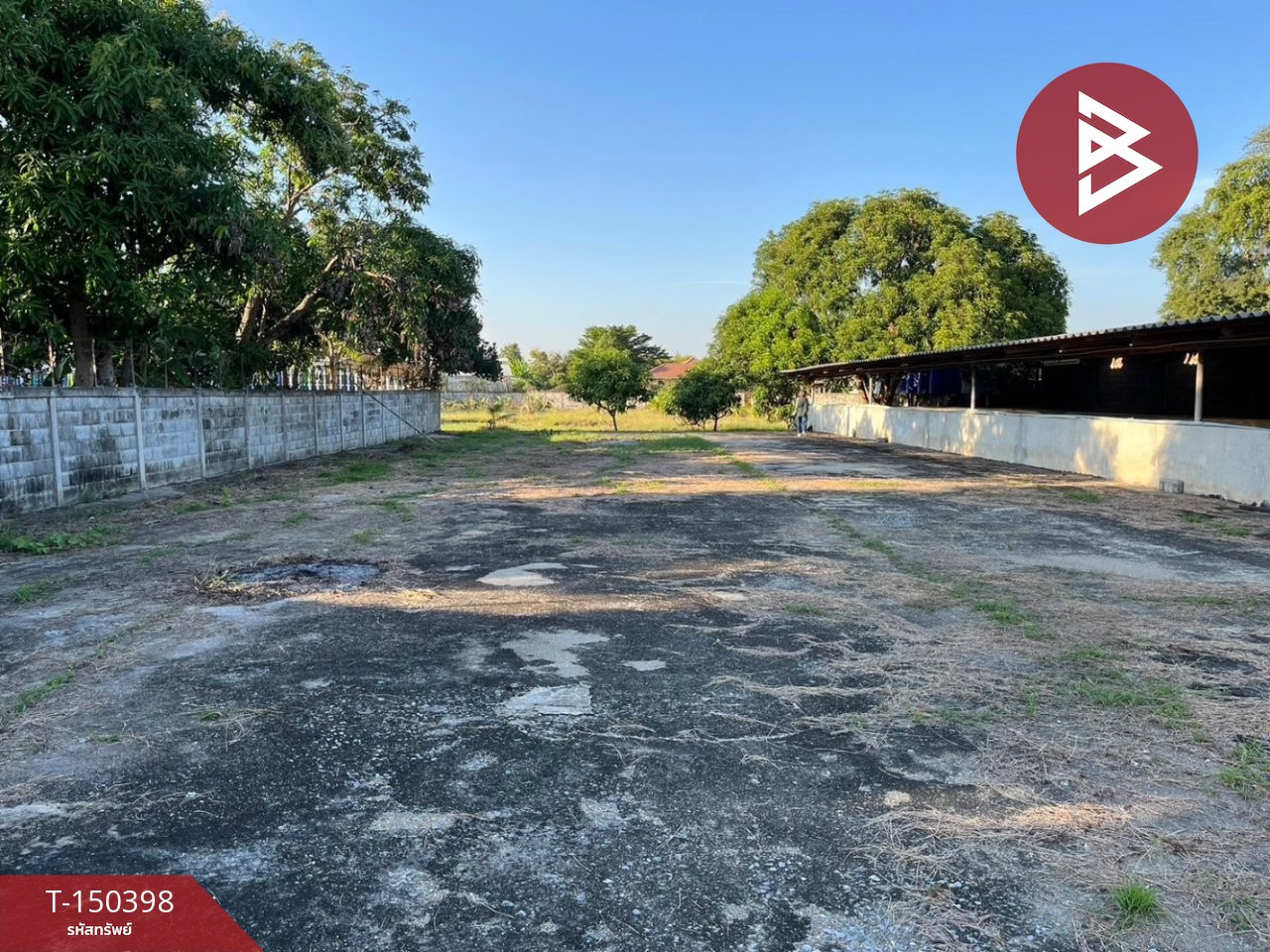 Land for sale, area 4 rai 73 square wah, Wang Nam Khiao, Nakhon Pathom, good location next to the road, near canals. – รูปที่ 4
