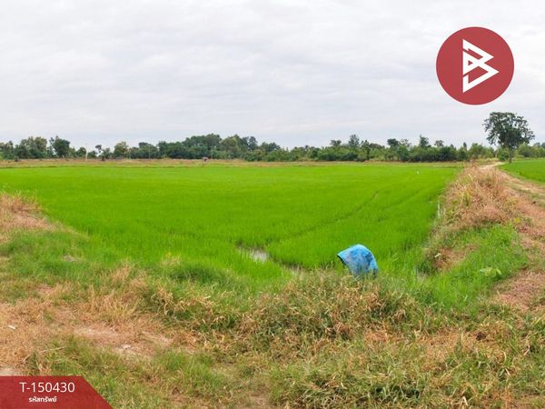 Land for sale, area 29 rai 91 sq m, Dong Charoen, Phichit.