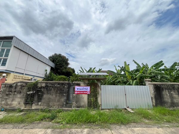 🌿 Land for sale, suitable for building a house, want to live on the Thonburi side, dont miss - empty land, P. Phasuk Village, Soi 7 (corner at the end of the alley) 🔥 Special price only 6.5 million baht (ALL IN) | ! 🔥087-808-3690