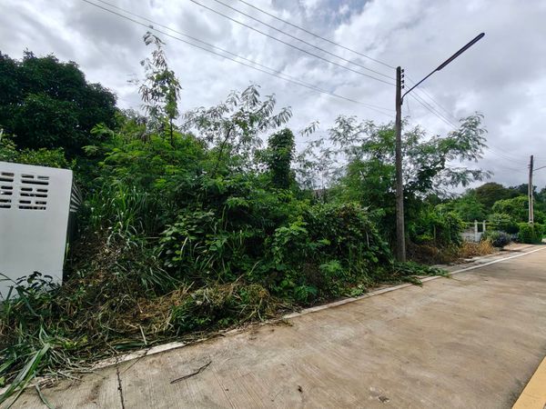 Land for Sale – 112 Sq.Wah (448 Sq.m.) in Klaeng, Rayong Only THB 1.15M 