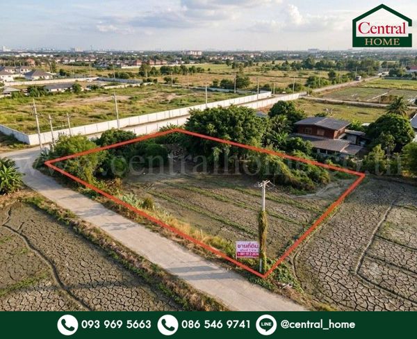 Empty land, very beautiful location, 100 square meters, Nong Phra Ngai, great price, concrete road.