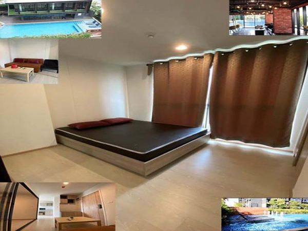 For Rent The Excel Groove Condo Never Living City View Sukumvit105 7th BuildingA 27 Sqm.