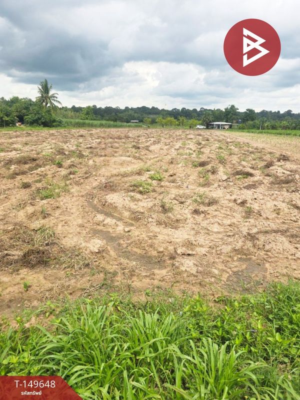 Urgent sale of vacant land, area 8 rai 2 ngan 45.6 square wa, Kuchinarai District, Kalasin Province, good location.