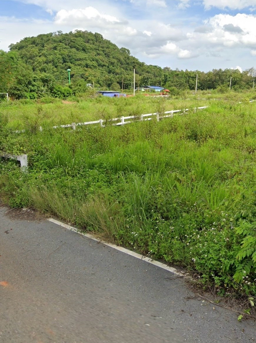 ขายที่ดิน 1 ไร่ วิวภูเขา คลองม่วง เขาใหญ่ ราคา 2.5 ล้านบาท เหมาะสร้างบ้านพักตากอากาศและลงทุน ขายที่ดิน 1 ไร่ วิวภูเขา คลองม่วง เขาใหญ่ ราคา 2.5 ล้านบาท เหมาะสร้างบ้านพักตากอากาศและลงทุน