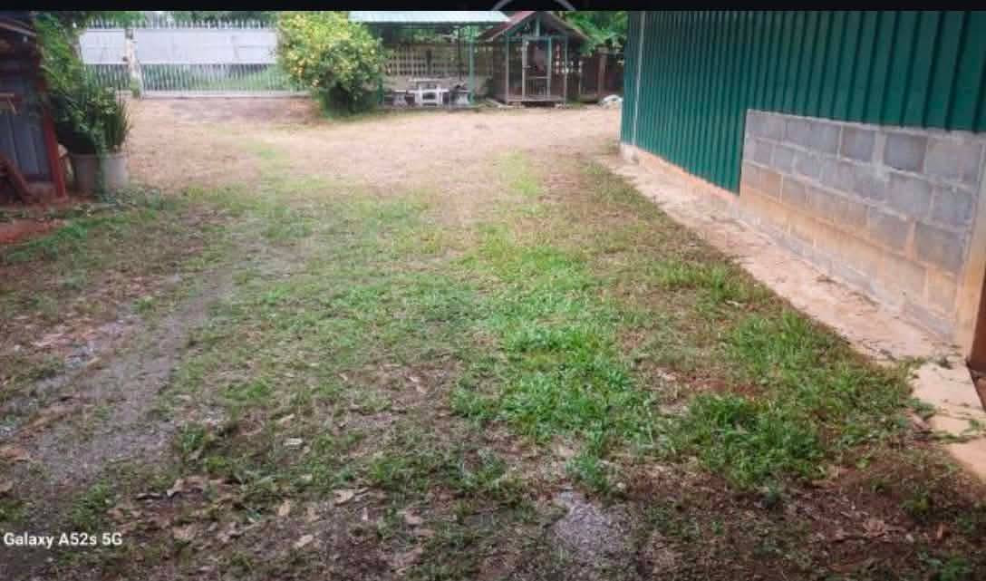 ขายถูกมาก!! ที่ดิน 477 ตร.ว. ติดถนน 2 ด้าน อ.เมือง จ.ตรัง ซอยตรงข้ามศาลากลางจังหวัดตรัง ใกล้โรบินสันฯ – รูปที่ 3