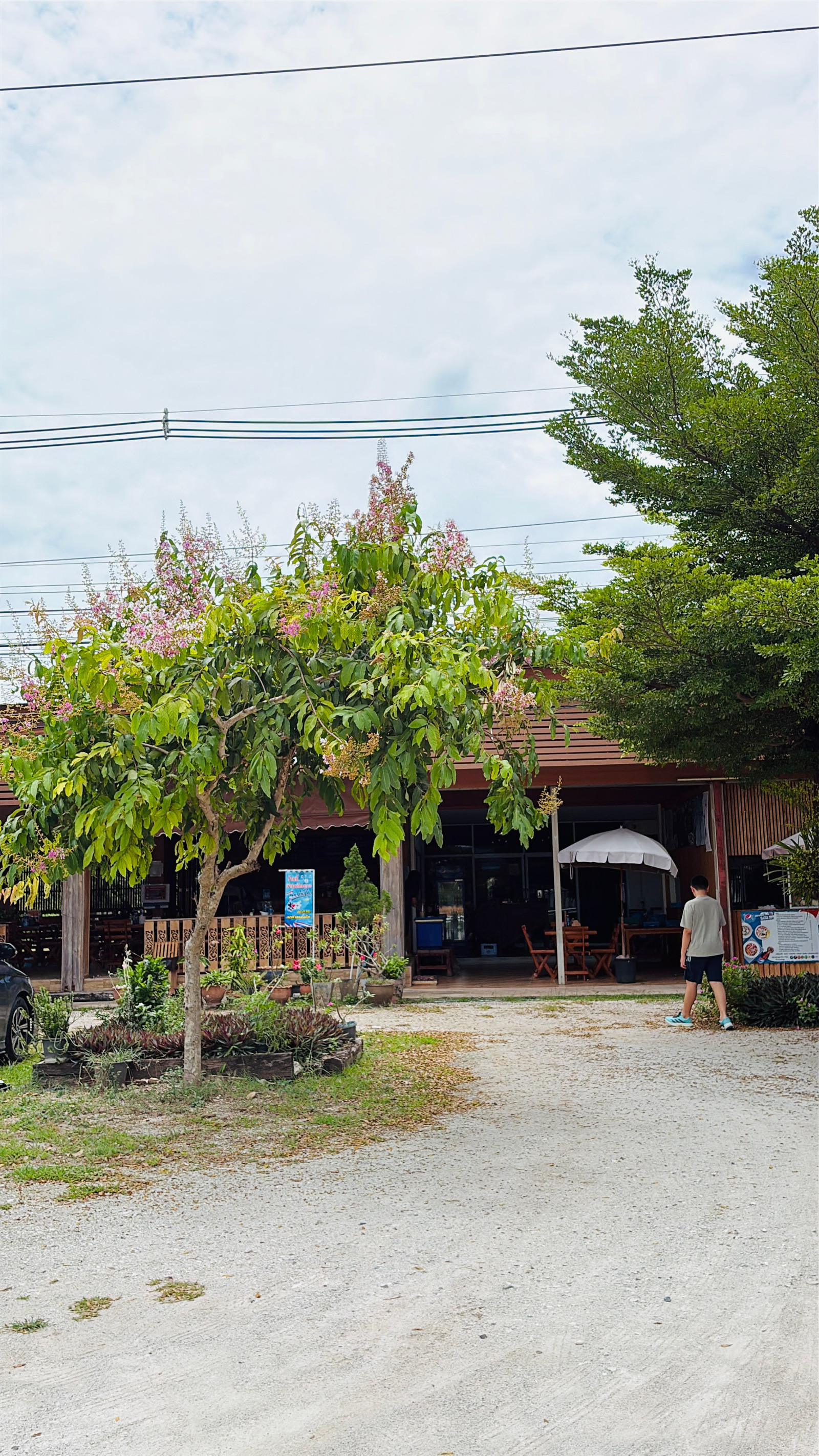 📣💢ขายร้านอาหาร ติดถนนสระบุรี–หล่มสัก (ทางหลวง 21) ทำเลดีมากๆ ครับ ที่ดิน 1 ไร่ (โฉนดครุฑแดง) 📣💢ขายร้านอาหาร ติดถนนสระบุรี–หล่มสัก (ทางหลวง 21) ทำเลดีมากๆ ครับ ที่ดิน 1 ไร่ (โฉนดครุฑแดง)