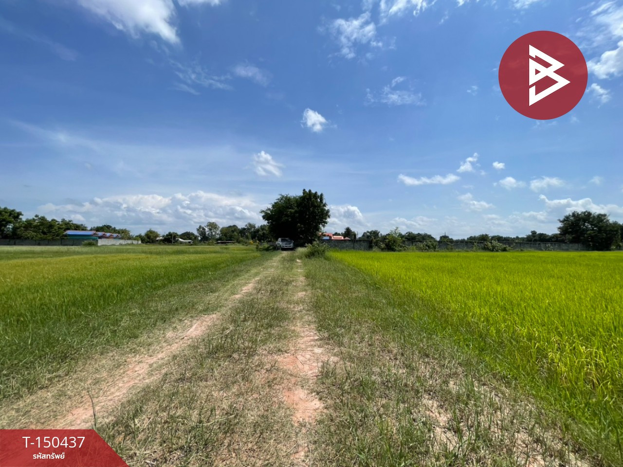 Land for sale, area 6 rai 3 ngan 18 square wah, near Ban Phai town, Khon Kaen province, good location, potential location. – รูปที่ 3