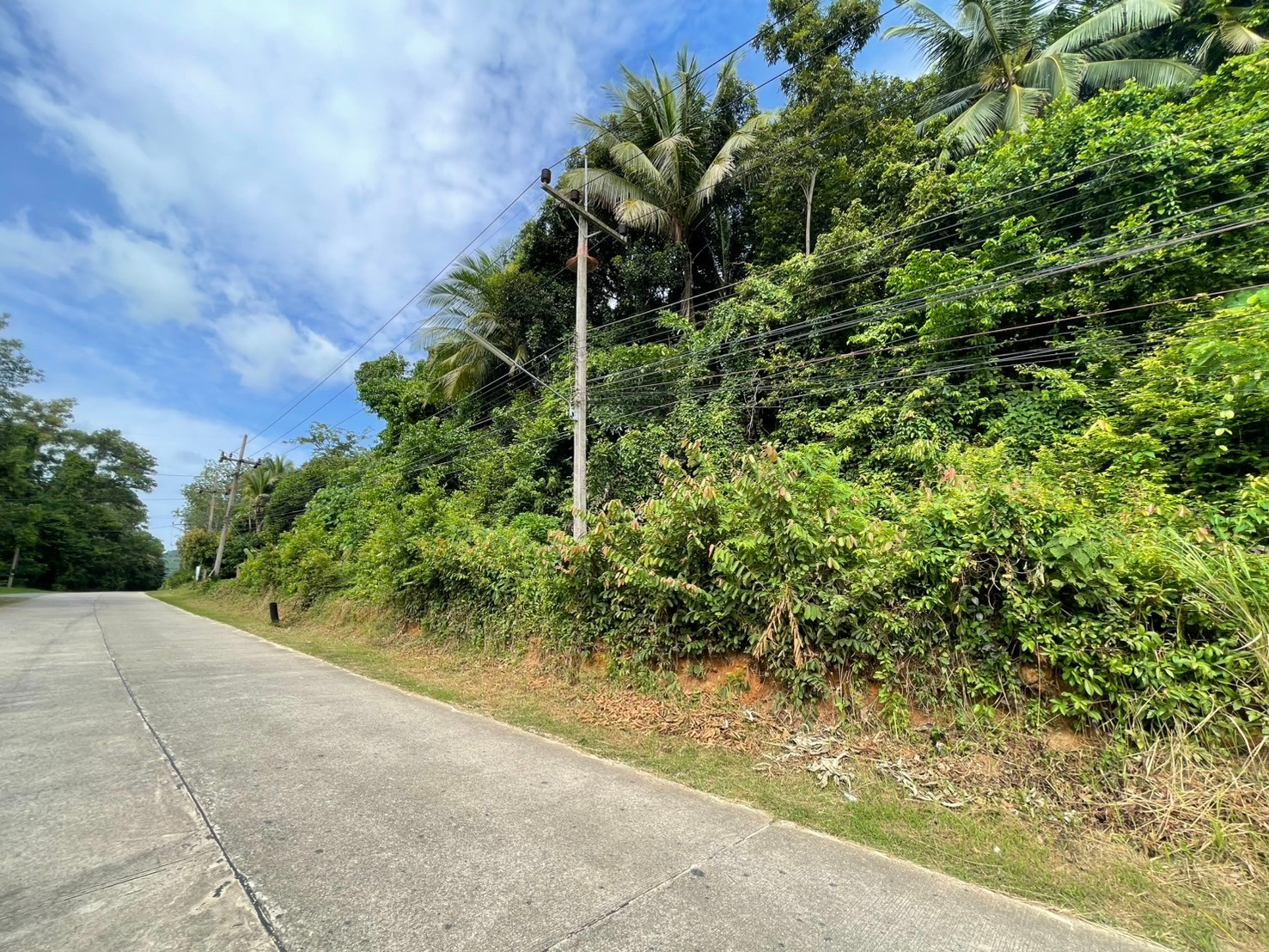 Urgent sale, vacant land in Phang Nga Province.